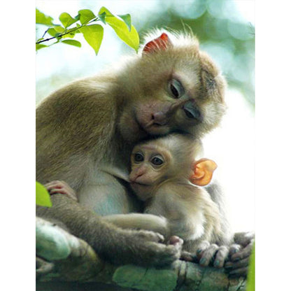 Macaque - Full Round Drill Diamond Painting 40*50CM