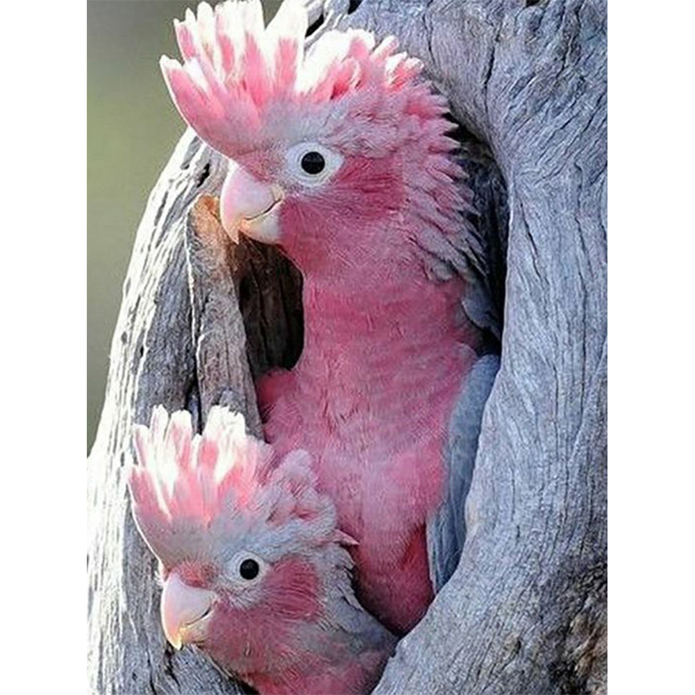 Pink Cockatoo - Full Round Drill Diamond Painting 50*60CM