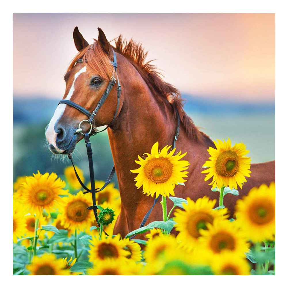 Red Horse In Sunflower Field - Full Square Drill Diamond Painting 30*30CM