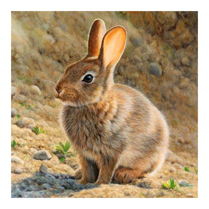 Rabbit - Full Round Drill Diamond Painting 30*30CM