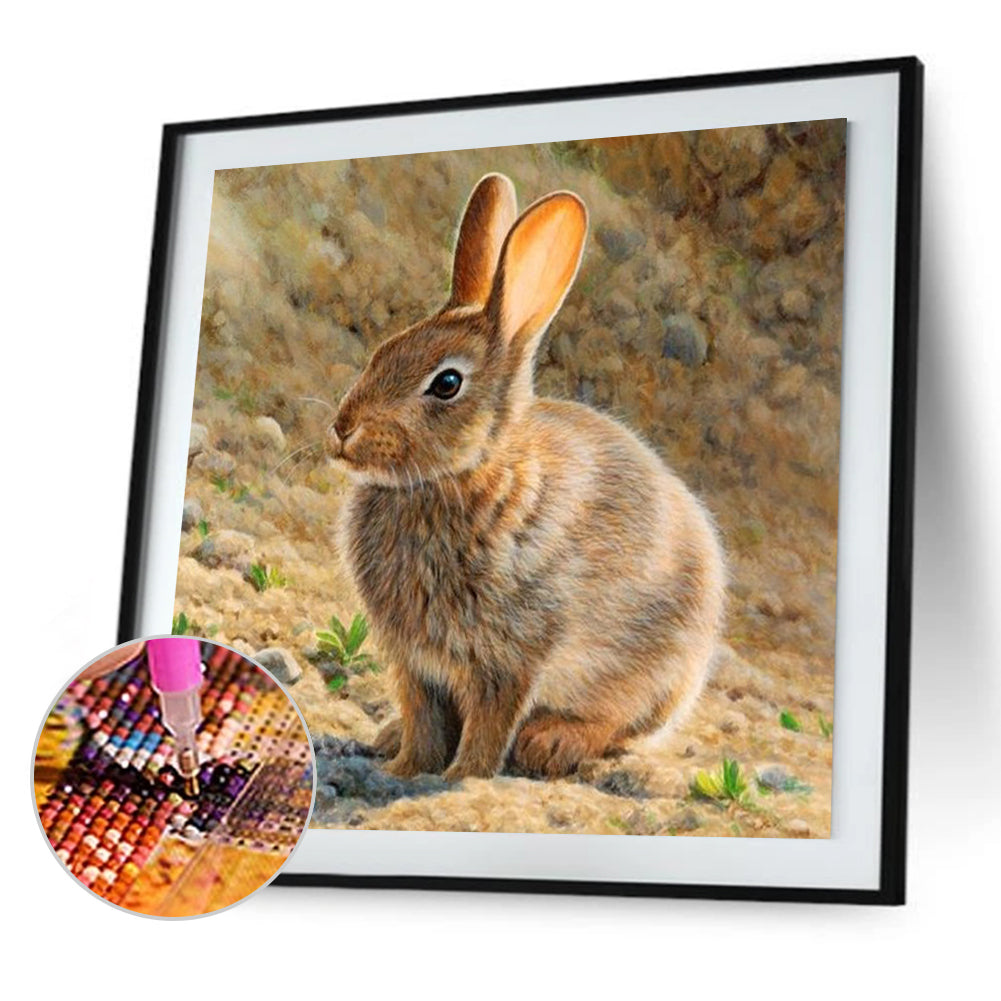 Rabbit - Full Round Drill Diamond Painting 30*30CM