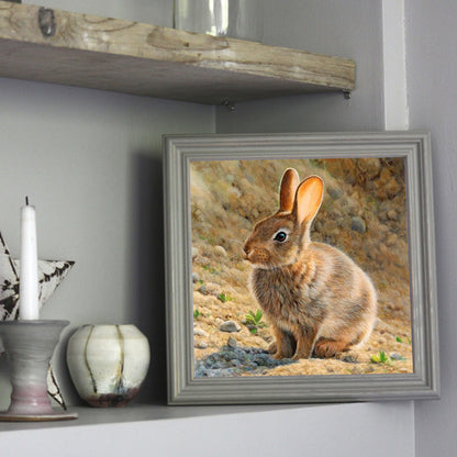 Rabbit - Full Round Drill Diamond Painting 30*30CM