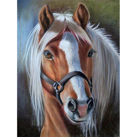 Horse - Full Round Drill Diamond Painting 40*50CM