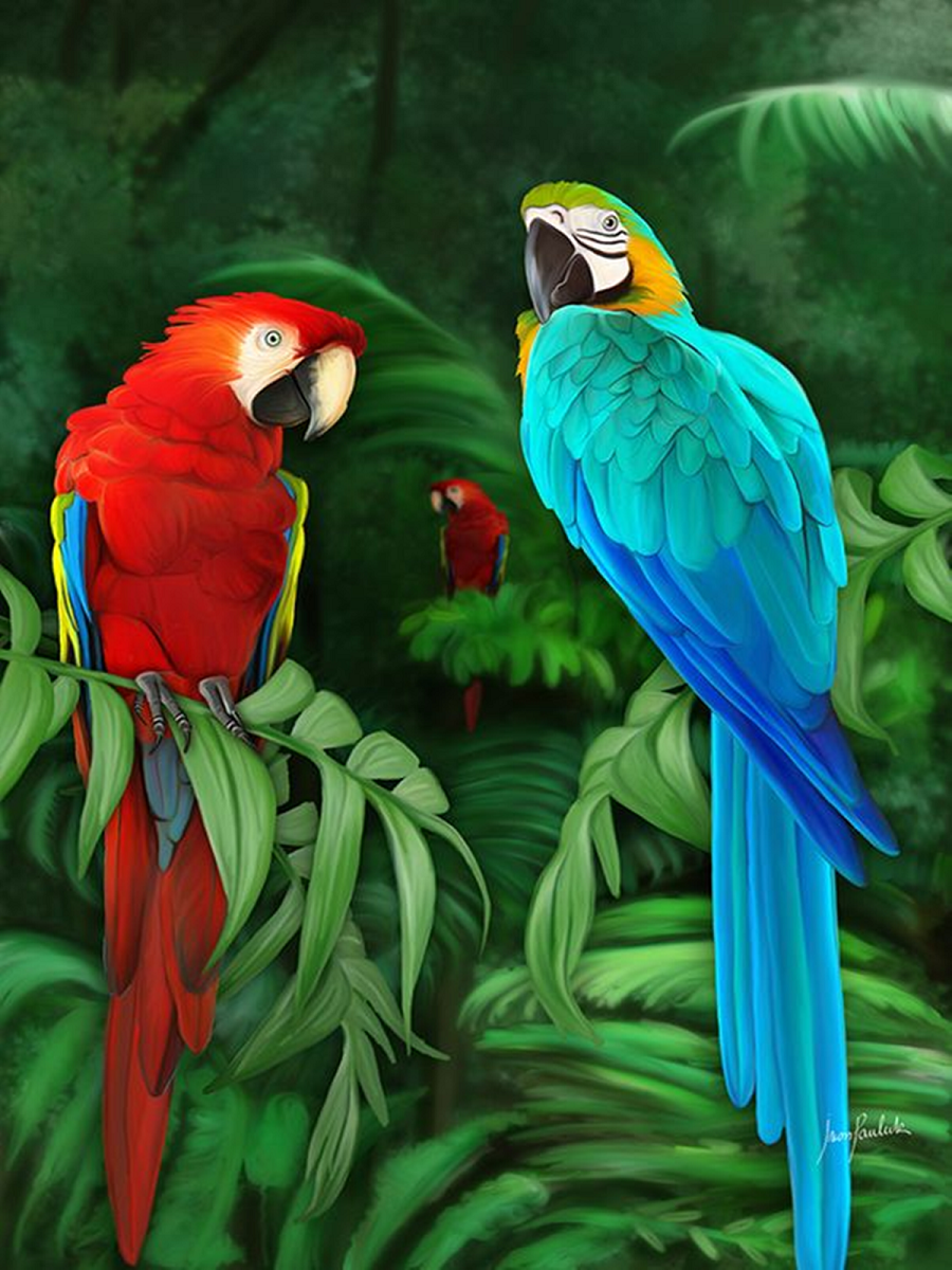 Parrot - Full Round Drill Diamond Painting 30*40CM