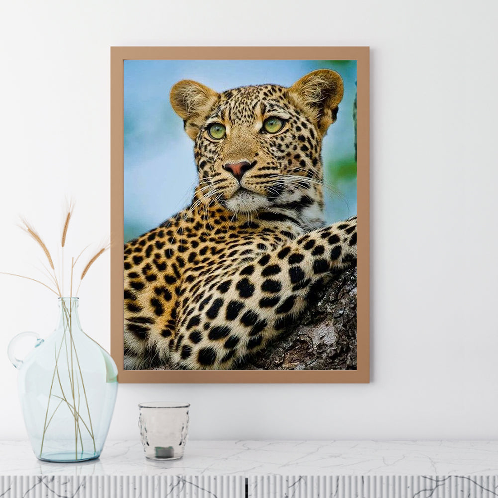 African Leopard - Full Round Drill Diamond Painting 30*40CM