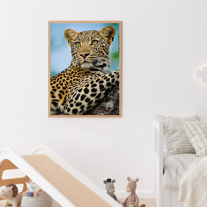 African Leopard - Full Round Drill Diamond Painting 30*40CM