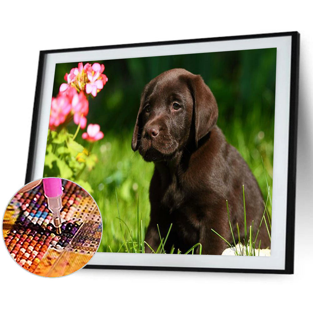Labrador - Full Round Drill Diamond Painting 40*30CM