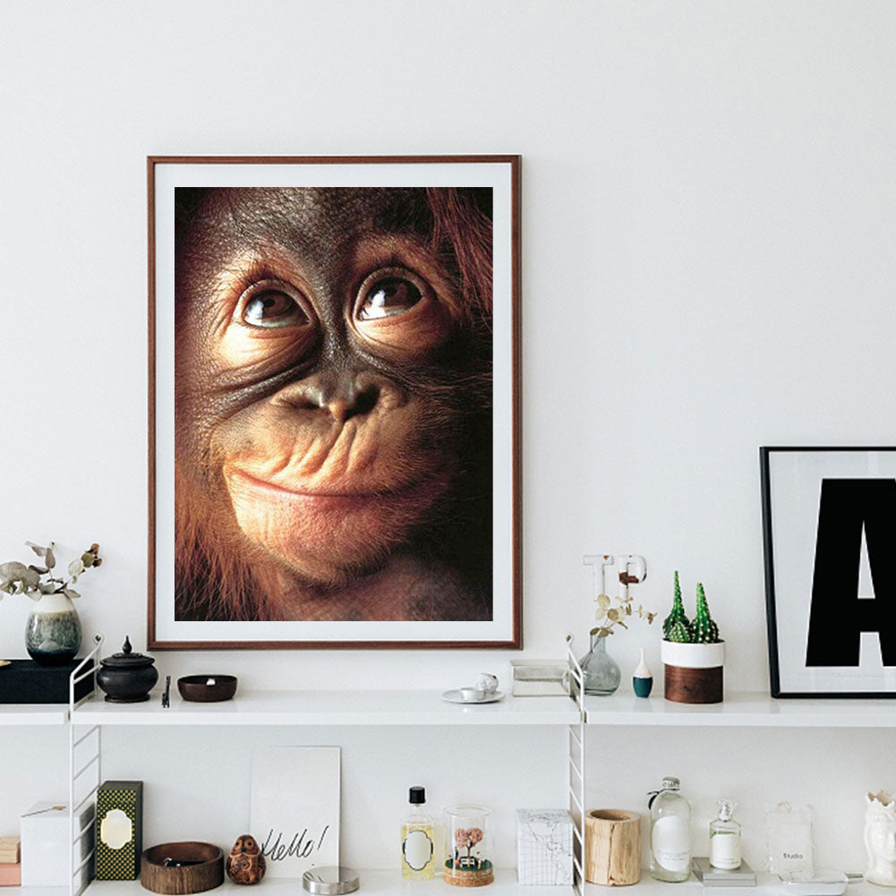 Chimpanzees - Full Round Drill Diamond Painting 30*40CM