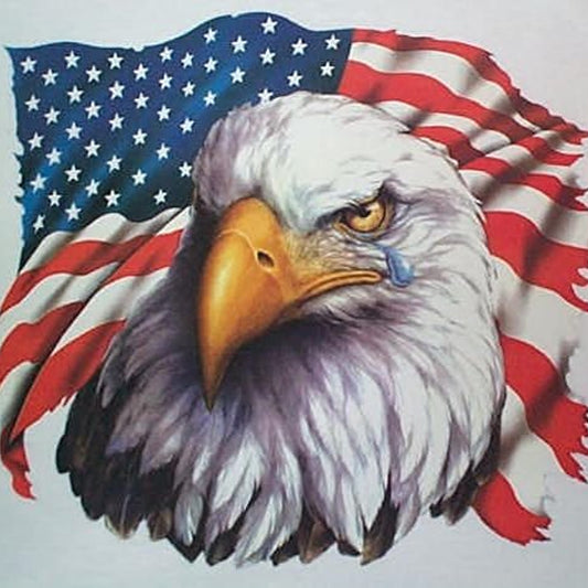 American Eagle - Full Round Drill Diamond Painting 30*30CM