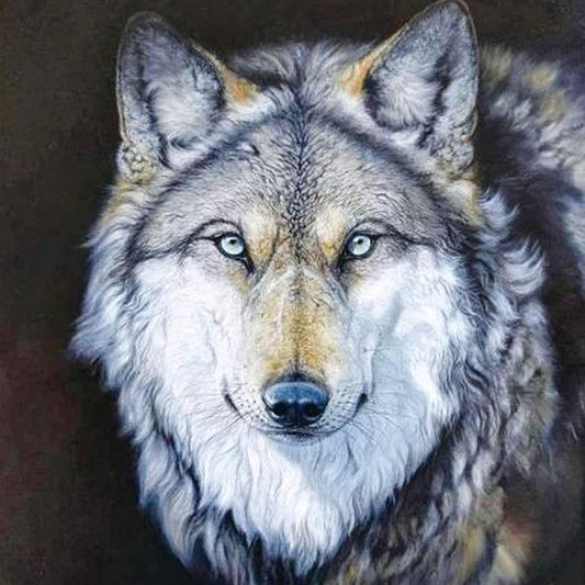Wolf 30*30CM(Canvas) Full Round Drill Diamond Painting