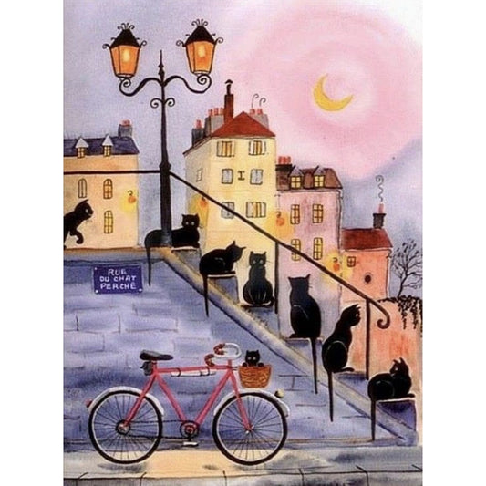 Black Cat Castle Bike 30*40CM(Canvas) Full Round Drill Diamond Painting