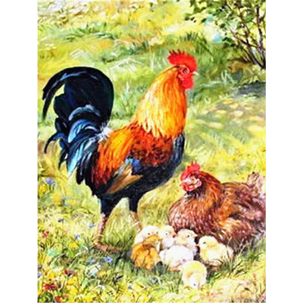 Rooster - Full Round Drill Diamond Painting 30*40CM