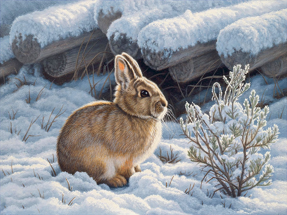 Snow Rabbit - Full Round Drill Diamond Painting 40*30CM