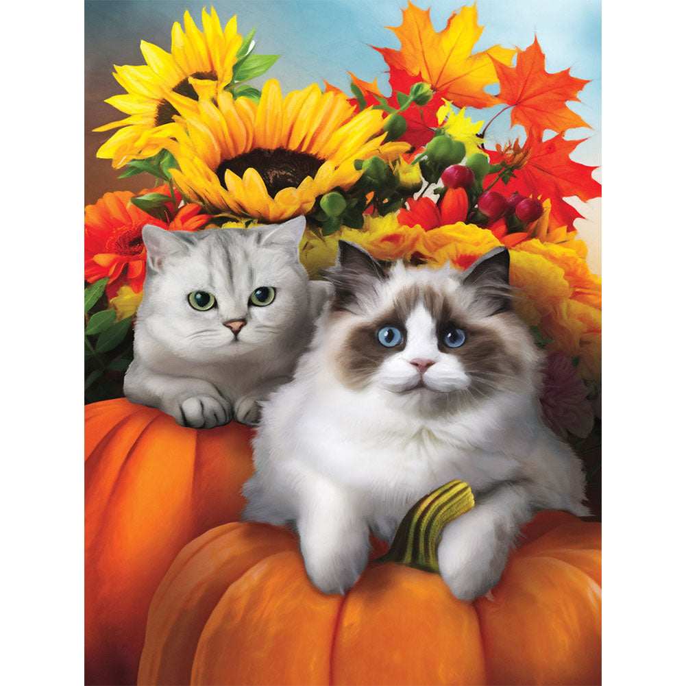 Autumn Sunflower Pumpkin Ragdoll - Full Round Drill Diamond Painting 30*40CM