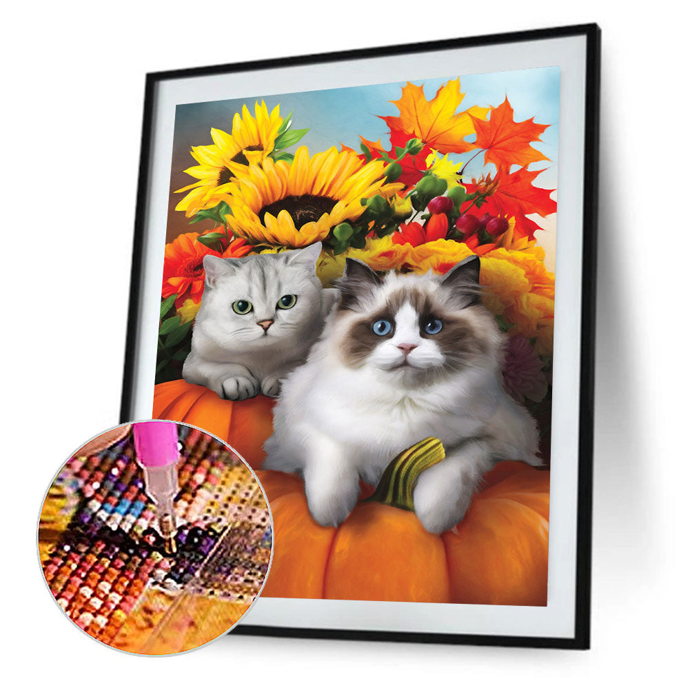 Autumn Sunflower Pumpkin Ragdoll - Full Round Drill Diamond Painting 30*40CM