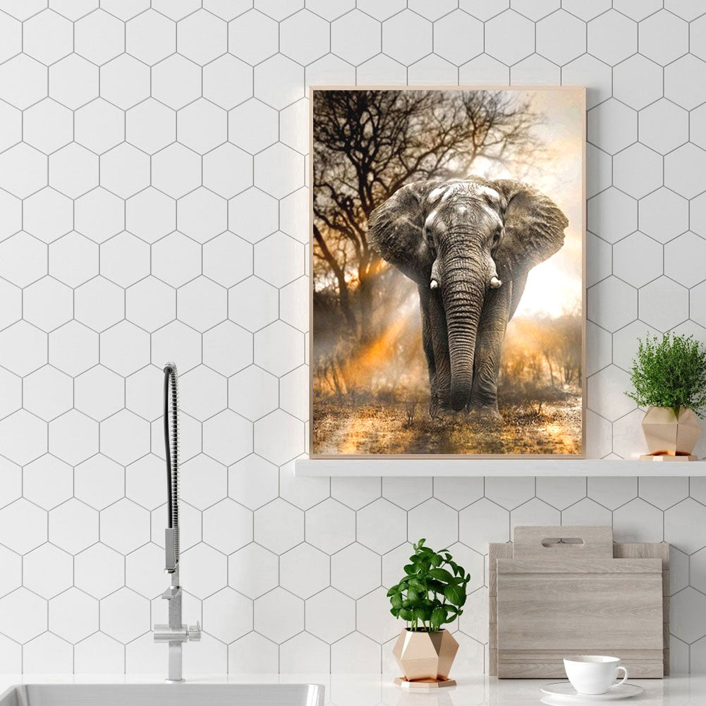 Elephant - Full Square Drill Diamond Painting 40*50CM