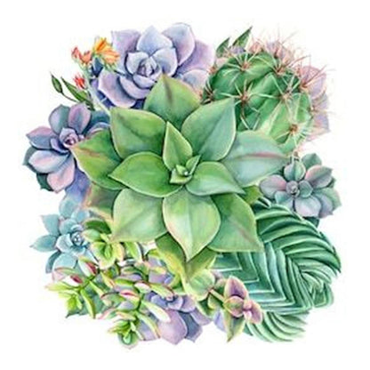 Succulents - Full Square Drill Diamond Painting 50*50CM