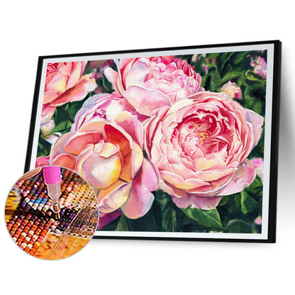 Rose - Full Round Drill Diamond Painting 40*30CM