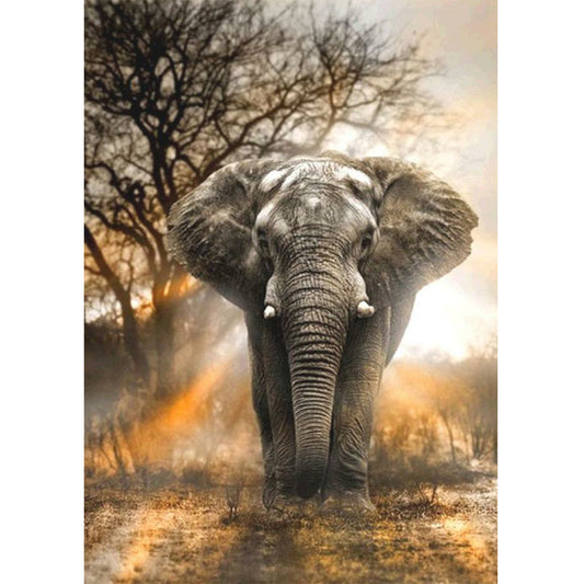 Elephant - Full Round Drill Diamond Painting 40*50CM