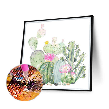 Cactus 30*30CM(Canvas) Full Square Drill Diamond Painting