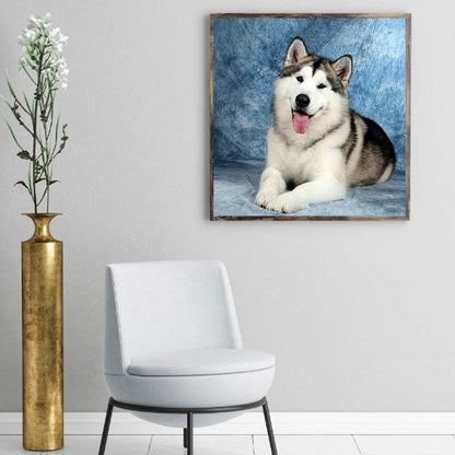 Husky Lying Down 40*40CM(Canvas) Full Square Drill Diamond Painting