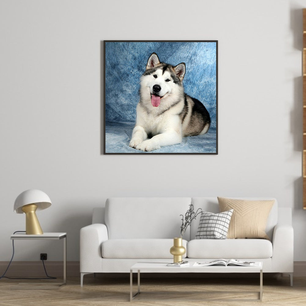 Husky Lying Down 40*40CM(Canvas) Full Square Drill Diamond Painting