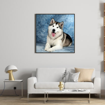 Husky Lying Down 40*40CM(Canvas) Full Square Drill Diamond Painting