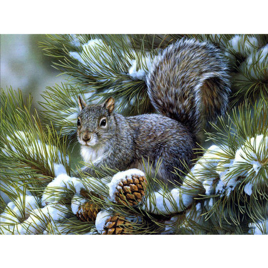 Grey Squirrel 50*40CM(Canvas) Full Square Drill Diamond Painting