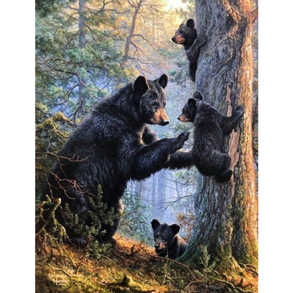 Black Bear - Full Round Drill Diamond Painting 30*40CM