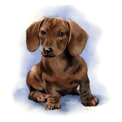 Dachshund Watercolor Painting - Full Round Drill Diamond Painting 50*50CM