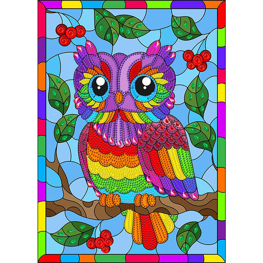 Rainbow Owl - Special Shaped Drill Diamond Painting 30*40CM