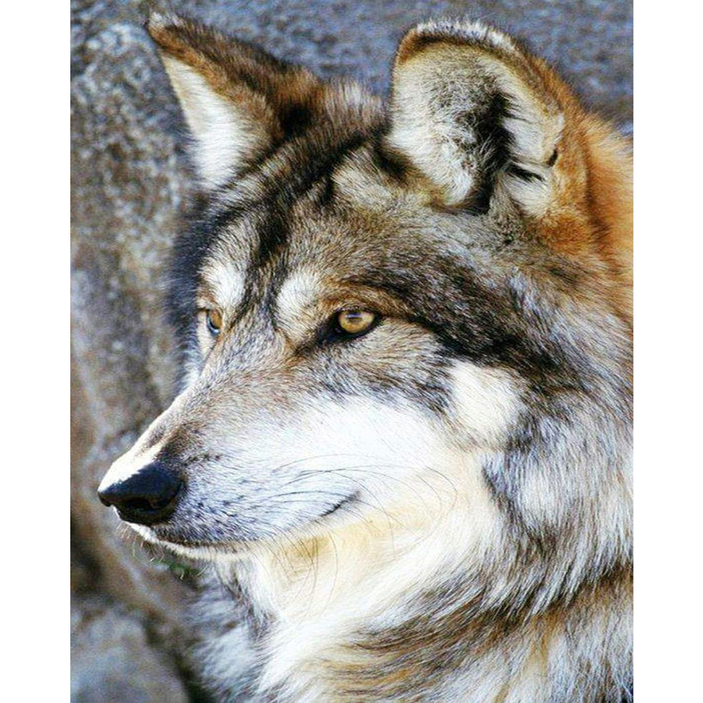 Wolf - Full Round Drill Diamond Painting 40*50CM