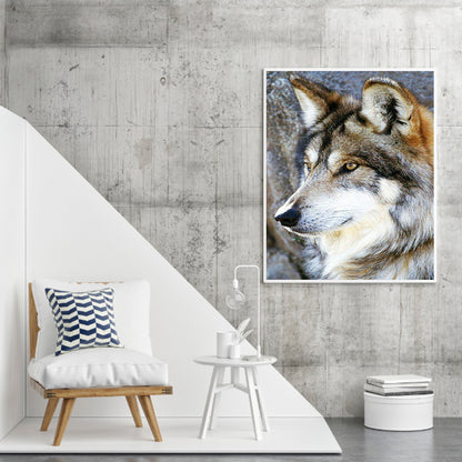 Wolf - Full Round Drill Diamond Painting 40*50CM
