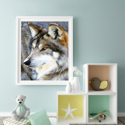 Wolf - Full Round Drill Diamond Painting 40*50CM