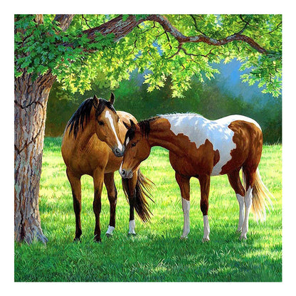 Horse On Grass - Full Square Drill Diamond Painting 50*50CM