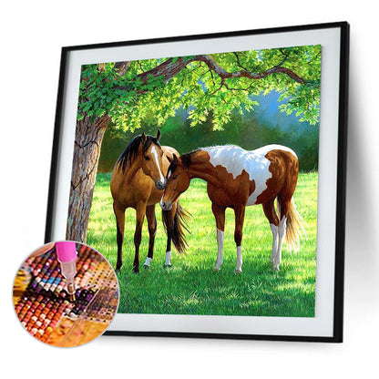 Horse On Grass - Full Square Drill Diamond Painting 50*50CM