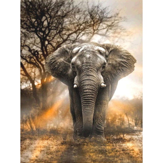 Elephant At Sunset - Full Square Drill Diamond Painting 30*40CM