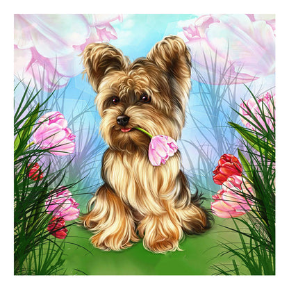 Yorkshire Terrier - Full Round Drill Diamond Painting 50*50CM