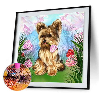 Yorkshire Terrier - Full Round Drill Diamond Painting 50*50CM