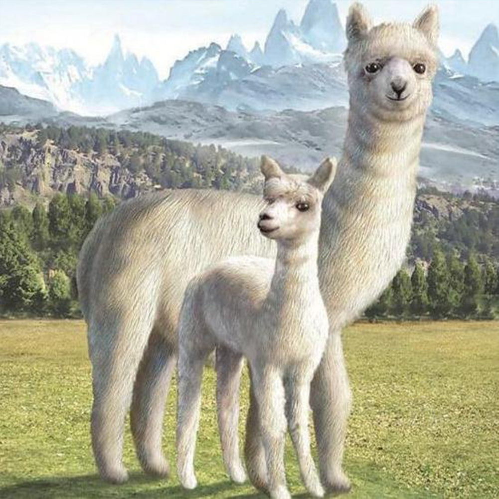 Alpaca - Full Round Drill Diamond Painting 30*30CM