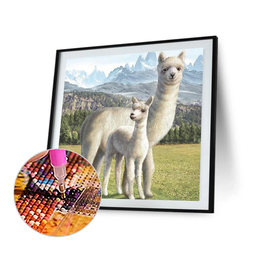 Alpaca - Full Round Drill Diamond Painting 30*30CM