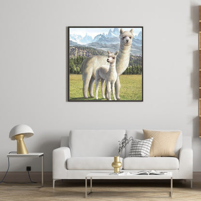 Alpaca - Full Round Drill Diamond Painting 30*30CM