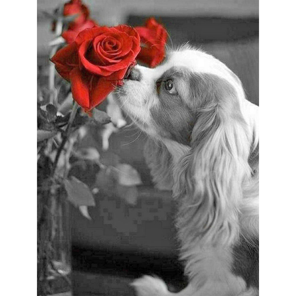 Cavalier King Charles Spaniel - Full Round Drill Diamond Painting 30*40CM