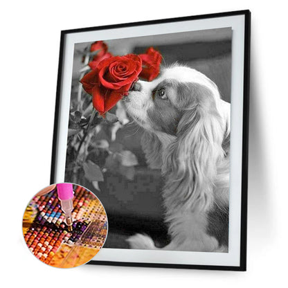 Cavalier King Charles Spaniel - Full Round Drill Diamond Painting 30*40CM