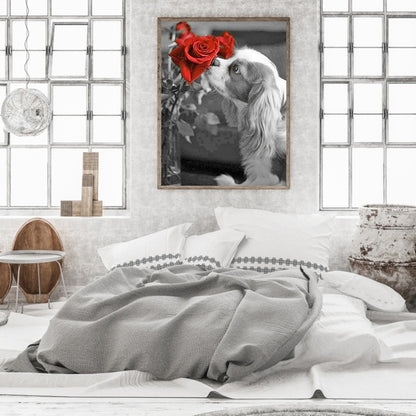 Cavalier King Charles Spaniel - Full Round Drill Diamond Painting 30*40CM