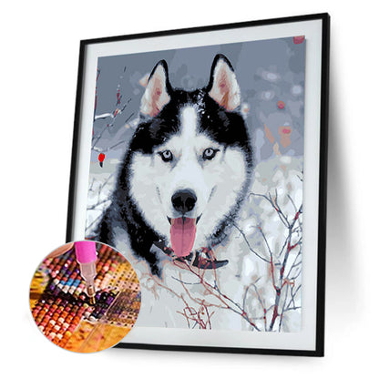 Husky - Full Round Drill Diamond Painting 30*40CM