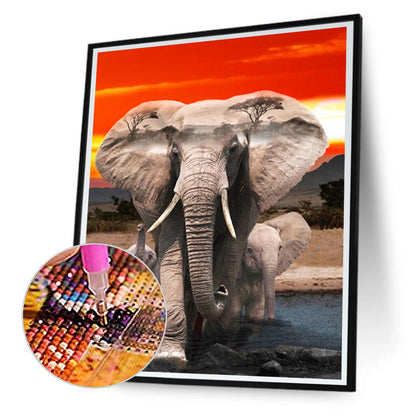 Elephant - Full Round Drill Diamond Painting 30*40CM