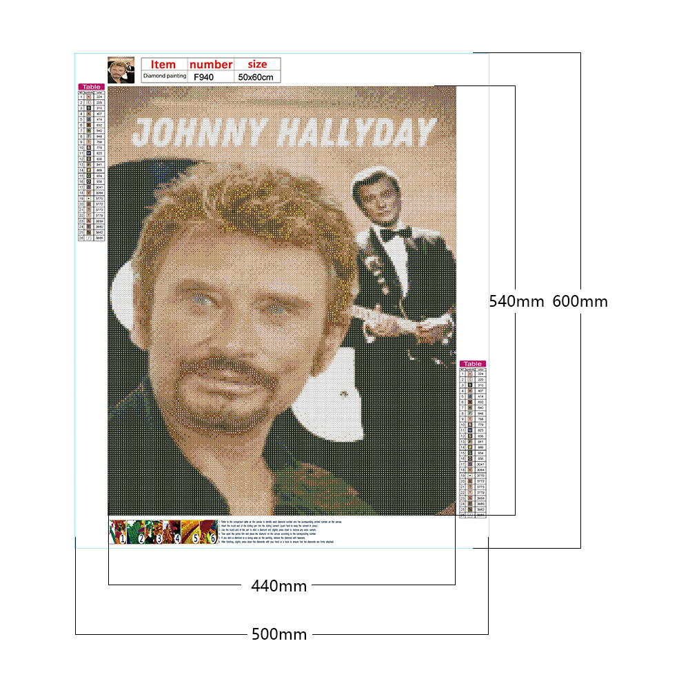 Johnny Alliday - Full Square Drill Diamond Painting 50*60CM