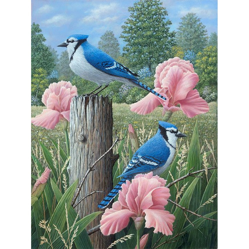 Blue Robin - Full Round Drill Diamond Painting 40*50CM