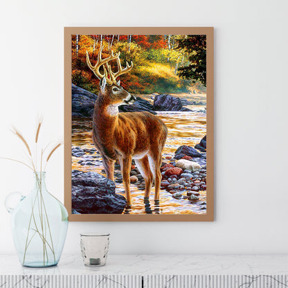 Deer - Full Square Drill Diamond Painting 30*40CM